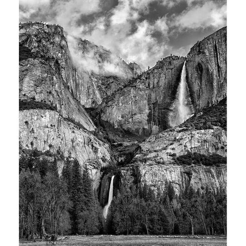 California-Yosemite National Park-Upper and Lower Yosemite Falls at sunrise White Modern Wood Framed Art Print by Collins, Ann