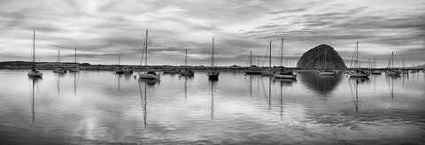 USA-California-Morro Bay Panoramic view of harbor and Morro Rock at dusk White Modern Wood Framed Art Print with Double Matting by Collins, Ann