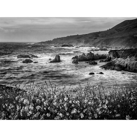 USA-California-Big Sur Dusk and mustard plants at Soberanes Cove Black Modern Wood Framed Art Print with Double Matting by Collins, Ann