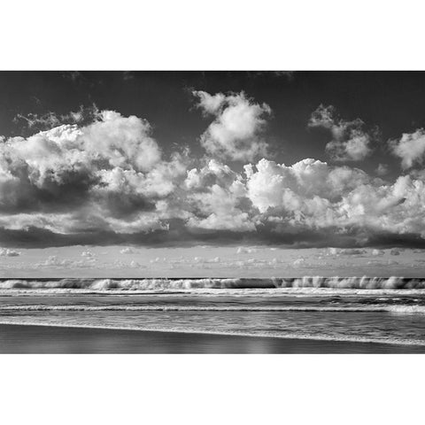 USA-California-La Jolla Waves at La Jolla Shores Beach Black Modern Wood Framed Art Print by Collins, Ann
