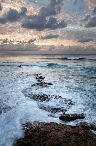 USA-California-La Jolla Ocean waves and rocks at dusk Black Ornate Wood Framed Art Print with Double Matting by Collins, Ann