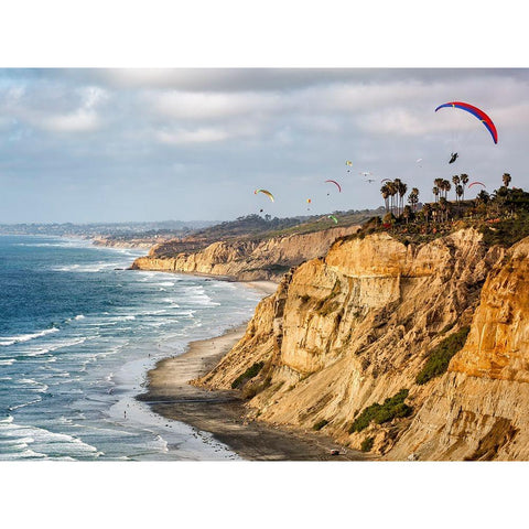 USA-California-La Jolla Paragliders soar over Blacks Beach Black Modern Wood Framed Art Print by Collins, Ann
