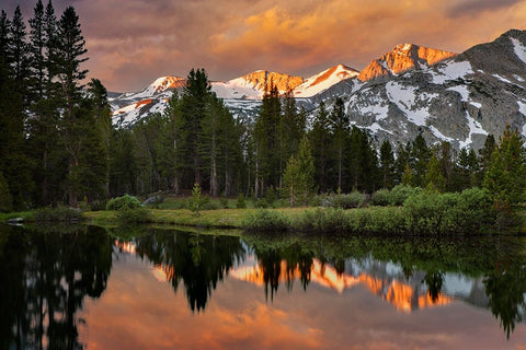 Alpine tarn-Tuolumne Meadows sunrise-Yosemite National Park-California Black Ornate Wood Framed Art Print with Double Matting by Jones, Adam