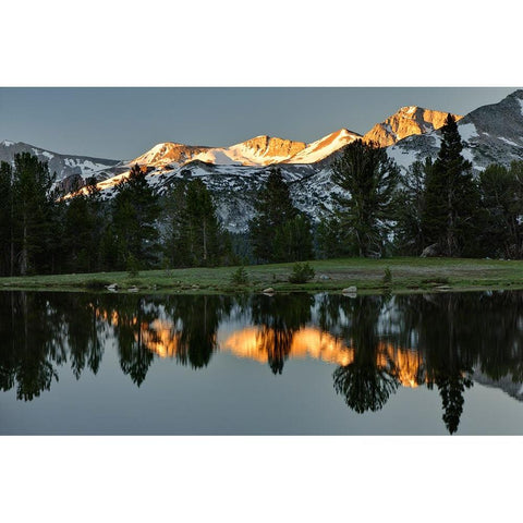 Alpine tarn-Tuolumne Meadows sunrise-Yosemite National Park-California Black Modern Wood Framed Art Print with Double Matting by Jones, Adam