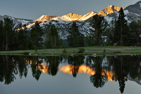 Alpine tarn-Tuolumne Meadows sunrise-Yosemite National Park-California White Modern Wood Framed Art Print with Double Matting by Jones, Adam