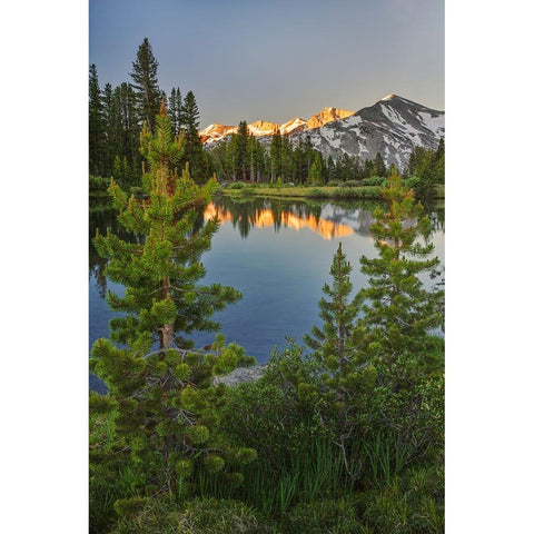 Alpine tarn-Tuolumne Meadows sunrise-Yosemite National Park-California White Modern Wood Framed Art Print by Jones, Adam