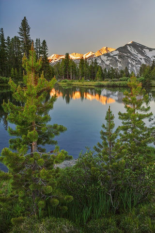 Alpine tarn-Tuolumne Meadows sunrise-Yosemite National Park-California Black Ornate Wood Framed Art Print with Double Matting by Jones, Adam