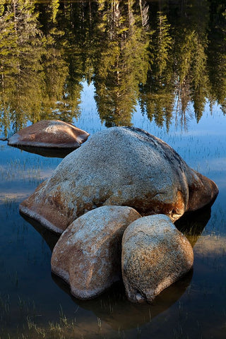 Rocks in Tuolumne River-Tuolumne Meadows-Yosemite National Park-California Black Ornate Wood Framed Art Print with Double Matting by Jones, Adam