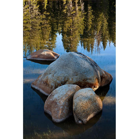 Rocks in Tuolumne River-Tuolumne Meadows-Yosemite National Park-California Black Modern Wood Framed Art Print by Jones, Adam