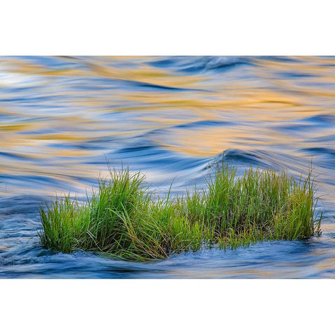 Sunset reflection on Merced River-Yosemite National Park-California Gold Ornate Wood Framed Art Print with Double Matting by Jones, Adam