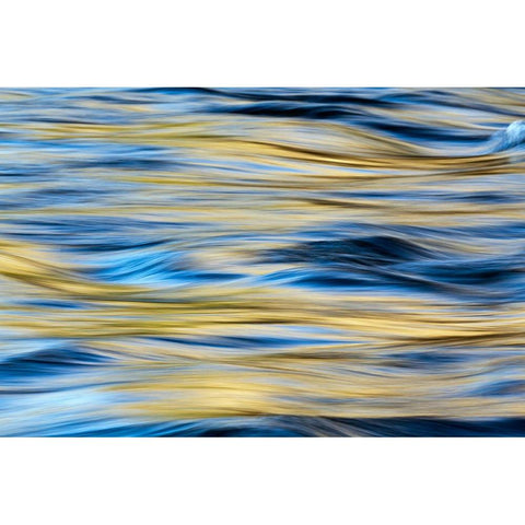 Sunset reflection on Merced River-Yosemite National Park-California Gold Ornate Wood Framed Art Print with Double Matting by Jones, Adam