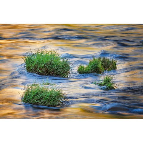 Sunset reflection on Merced River-Yosemite National Park-California Black Modern Wood Framed Art Print by Jones, Adam