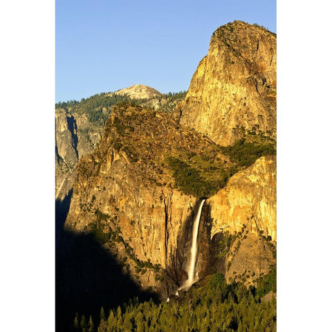 Bridalveil Fall-Yosemite National Park-California Gold Ornate Wood Framed Art Print with Double Matting by Jones, Adam