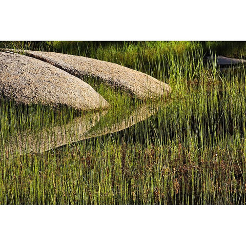 Rocks and grass at first light-Tuolumne Meadows-Yosemite National Park-California Black Modern Wood Framed Art Print by Jones, Adam