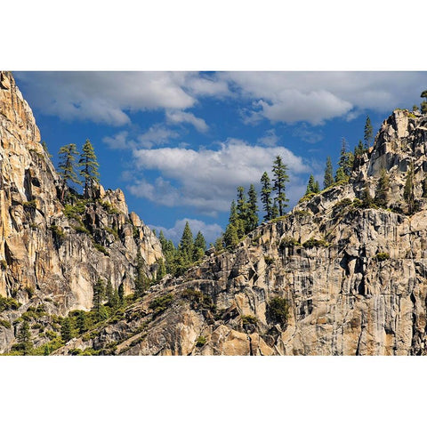 Granite valley walls-Yosemite National Park-California White Modern Wood Framed Art Print by Jones, Adam