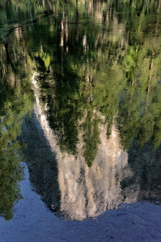 El Capitan reflected on Merced River-Yosemite National Park-California Black Ornate Wood Framed Art Print with Double Matting by Jones, Adam