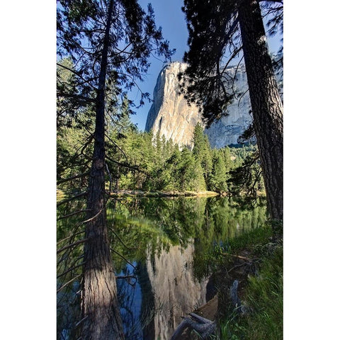 El Capitan reflected on Merced River-Yosemite National Park-California Black Modern Wood Framed Art Print by Jones, Adam