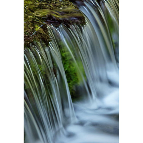 Cascading water-Fern Spring-Yosemite National Park-California Black Modern Wood Framed Art Print by Jones, Adam