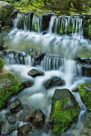Cascading water-Fern Spring-Yosemite National Park-California Black Ornate Wood Framed Art Print with Double Matting by Jones, Adam