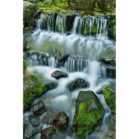 Cascading water-Fern Spring-Yosemite National Park-California Black Modern Wood Framed Art Print by Jones, Adam