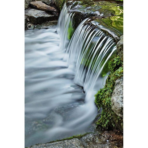 Cascading water-Fern Spring-Yosemite National Park-California White Modern Wood Framed Art Print by Jones, Adam