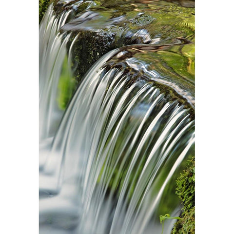 Cascading water-Fern Spring-Yosemite National Park-California White Modern Wood Framed Art Print by Jones, Adam