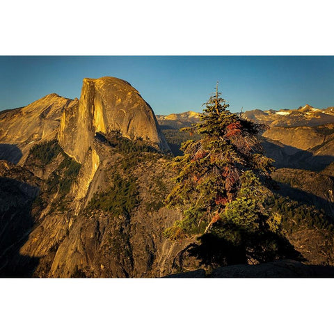 View of Half Dome from Glacier Point at sunset-Yosemite National Park-California Gold Ornate Wood Framed Art Print with Double Matting by Jones, Adam