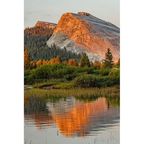 Tuolumne Meadows and Lembert Dome reflected in Tuolumne River Gold Ornate Wood Framed Art Print with Double Matting by Jones, Adam