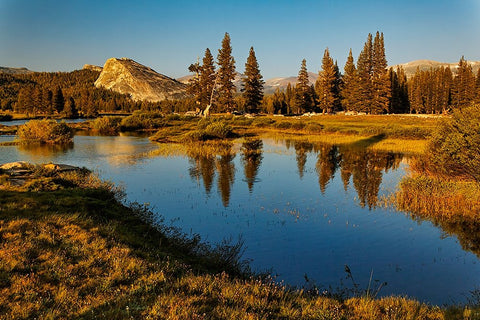Lembert Dome reflected on Tuolumne River at sunset-Yosemite National Park-California Black Ornate Wood Framed Art Print with Double Matting by Jones, Adam