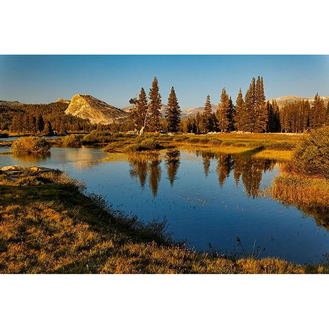 Lembert Dome reflected on Tuolumne River at sunset-Yosemite National Park-California Black Modern Wood Framed Art Print by Jones, Adam