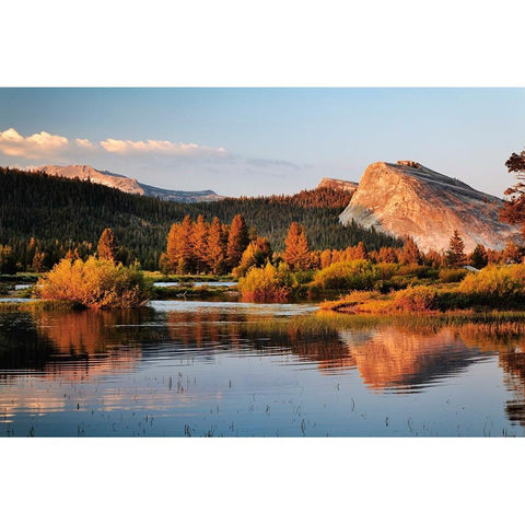 Lembert Dome reflected on Tuolumne River at sunset-Yosemite National Park-California Black Modern Wood Framed Art Print with Double Matting by Jones, Adam