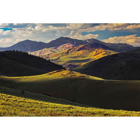 View of meadow in the White Mountains at sunset-Inyo National Forest-California Gold Ornate Wood Framed Art Print with Double Matting by Jones, Adam
