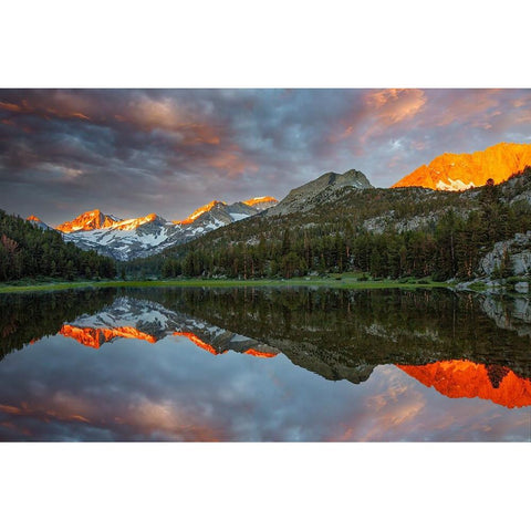 Alpine tarn-Tuolumne Meadows sunrise-Yosemite National Park-California White Modern Wood Framed Art Print by Jones, Adam