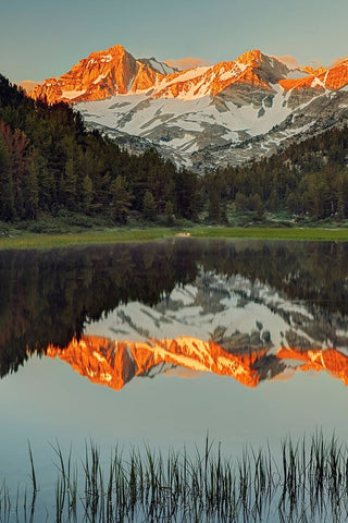 Alpine tarn-Tuolumne Meadows sunrise-Yosemite National Park-California White Modern Wood Framed Art Print with Double Matting by Jones, Adam