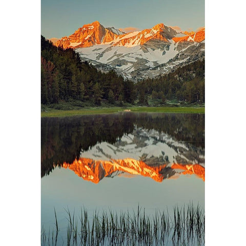 Alpine tarn-Tuolumne Meadows sunrise-Yosemite National Park-California Black Modern Wood Framed Art Print with Double Matting by Jones, Adam