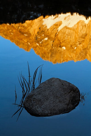 Boulder and grass stems in Alpine tarn-Tuolumne Meadows sunrise-Yosemite National Park-California White Modern Wood Framed Art Print with Double Matting by Jones, Adam