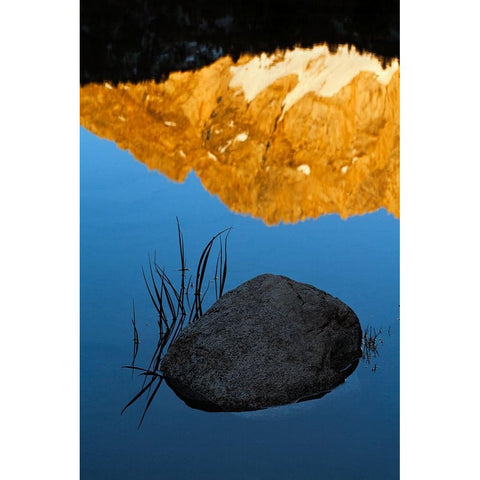 Boulder and grass stems in Alpine tarn-Tuolumne Meadows sunrise-Yosemite National Park-California Black Modern Wood Framed Art Print by Jones, Adam
