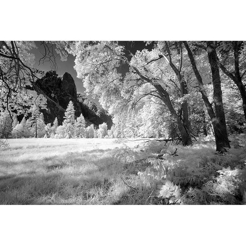 Yosemite Valley in infrared black and white-Yosemite National Park-California Black Modern Wood Framed Art Print with Double Matting by Jones, Adam