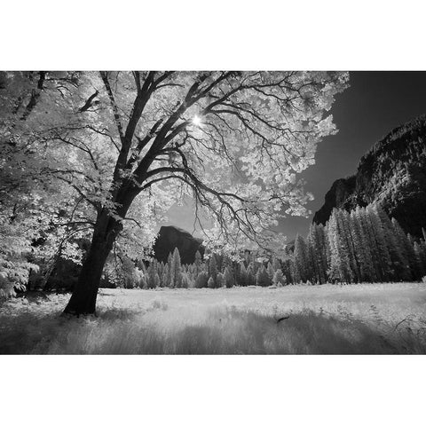 Yosemite Valley in infrared black and white-Yosemite National Park-California Black Modern Wood Framed Art Print by Jones, Adam
