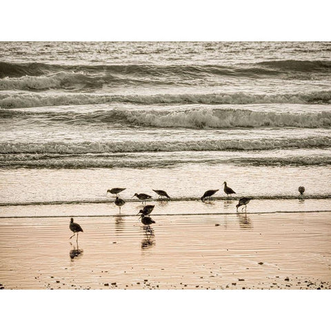 Morro Bay Shore Black Modern Wood Framed Art Print with Double Matting by Miller, Anna