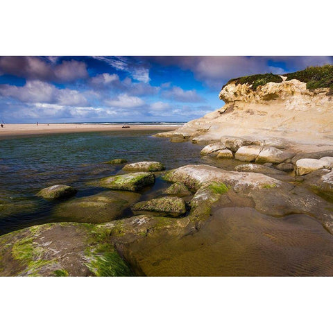 San Gregorio Beach-Big Sur-California-USA Gold Ornate Wood Framed Art Print with Double Matting by Miller, Anna