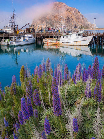 Boat Docks on Morro Bay-California-USA White Modern Wood Framed Art Print with Double Matting by Miller, Anna