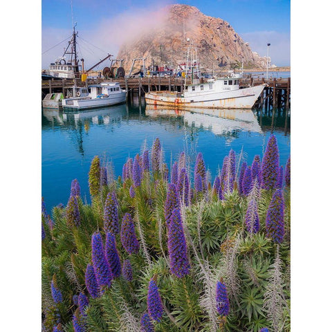 Boat Docks on Morro Bay-California-USA Black Modern Wood Framed Art Print by Miller, Anna