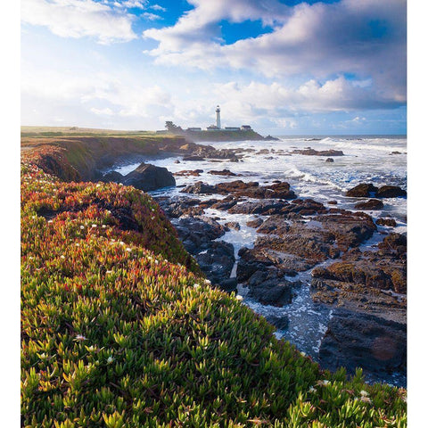 Pigeon Point Lighthouse-Big Sur-California-USA White Modern Wood Framed Art Print by Miller, Anna