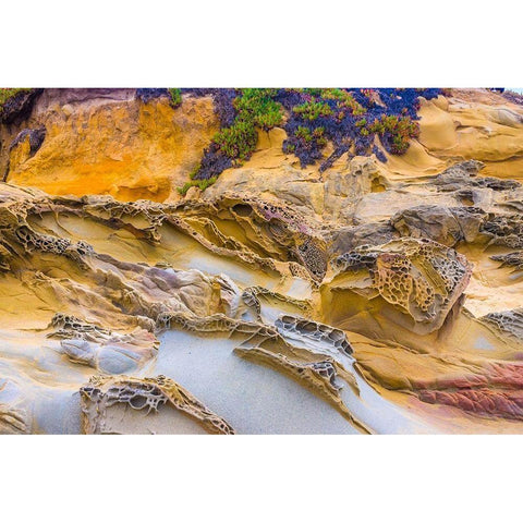 Rocky Formations at Bean Hollow Beach-California-USA White Modern Wood Framed Art Print by Miller, Anna