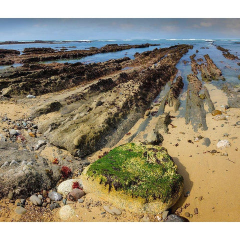 Geological Rock Formations-Fitzgerald Marine Reserve-California-USA Black Modern Wood Framed Art Print by Miller, Anna