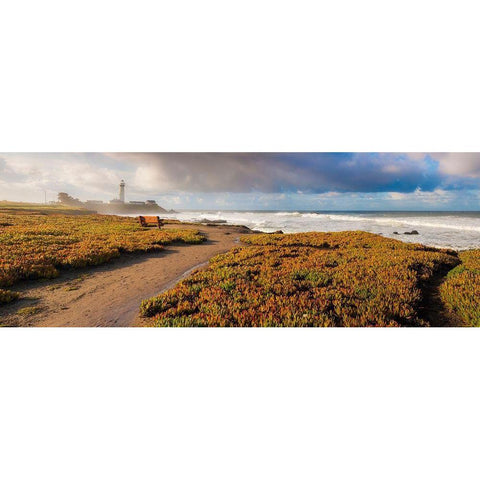 Big Sur Area-California-USA Black Modern Wood Framed Art Print by Miller, Anna