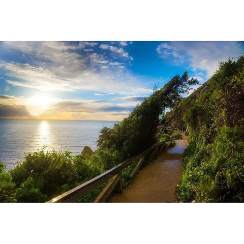 Sunset-Julia Pfeiffer Burns State Park-Big Sur-California-USA Gold Ornate Wood Framed Art Print with Double Matting by Miller, Anna