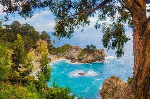 McWay Falls-Julia Pfeiffer Burns State Park-Big Sur-California-USA Black Ornate Wood Framed Art Print with Double Matting by Miller, Anna