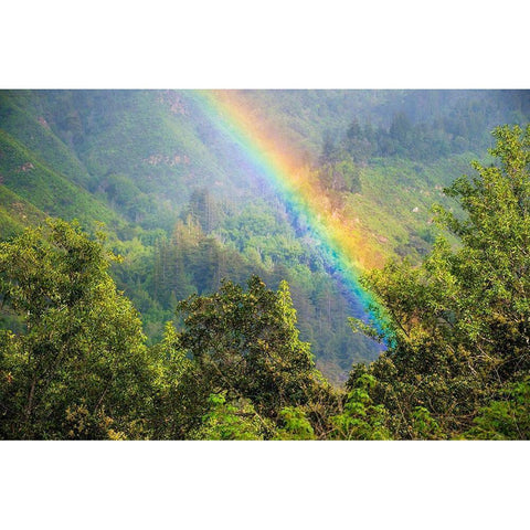Rainbow in Andrew Molera State Park-California-USA Black Modern Wood Framed Art Print with Double Matting by Miller, Anna